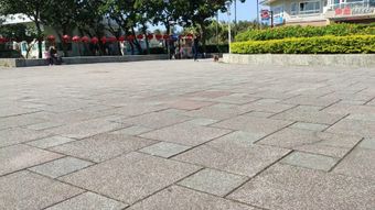 几个亚洲老人聊天高清视频高清视频免费下载视频素材