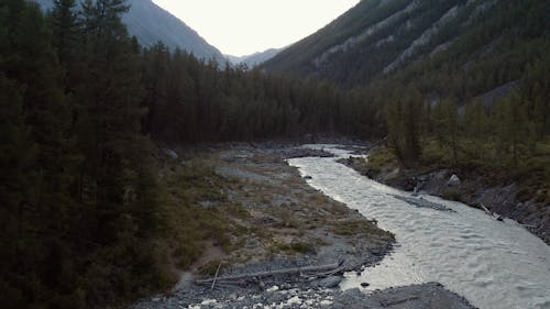 A Drone shot of a River in the Forest