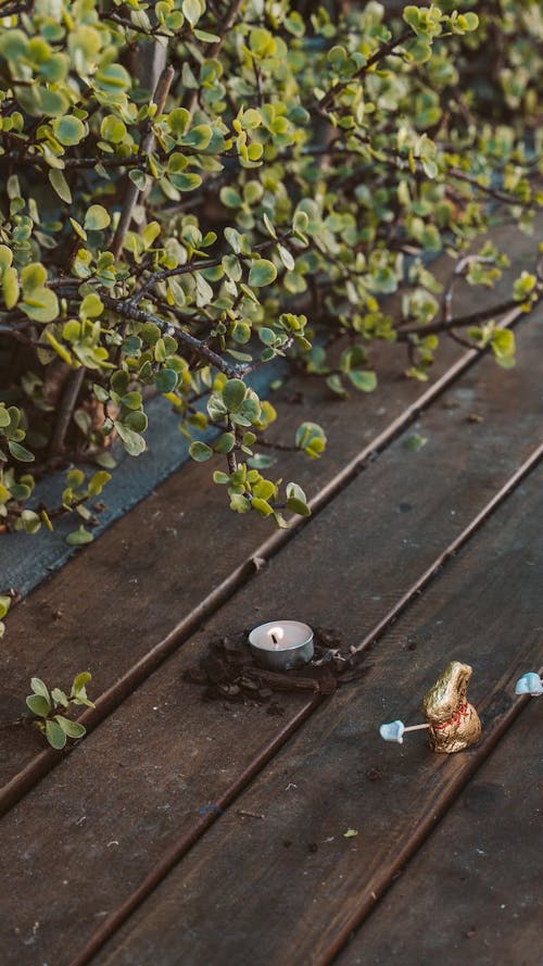 Stop Motion of Golden Toy Rabbit