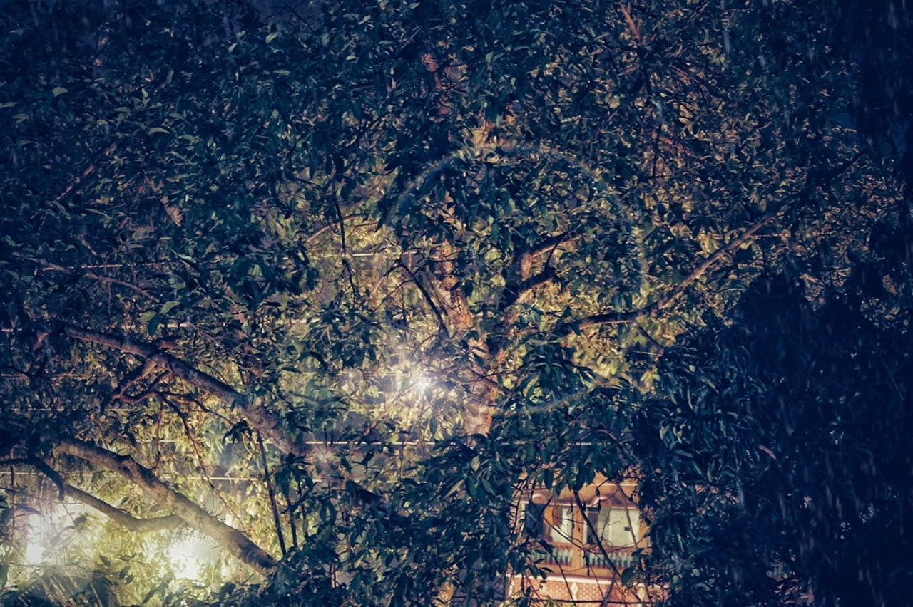 Stars Park Videos, Download The BEST Free 4k Stock Video Footage ...