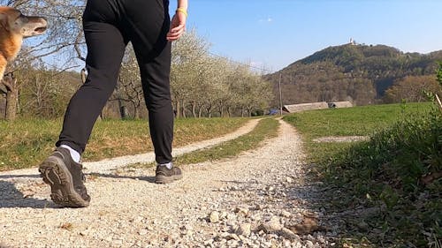 A Woman Walking Wit Her Dog Outdoor In The Sun