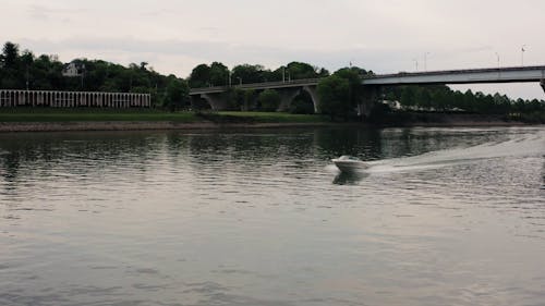 Speedboat In A River