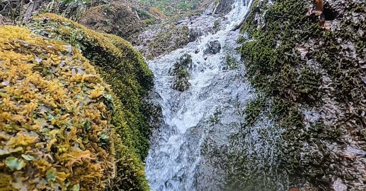 Water Spring Running Through Rocks Fresh Water Running Through Rocks Free Stock Video Footage, Royalty ...