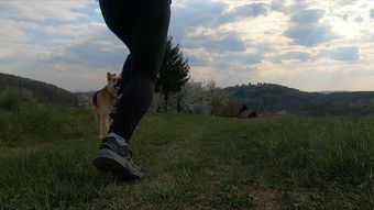 跑步免费下载高清视频视频素材