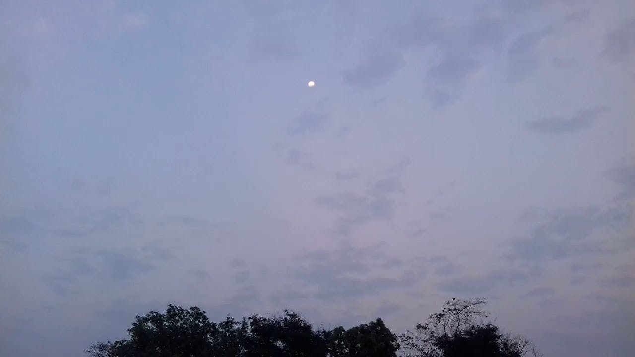Video by Chinmaya Kumar Dash