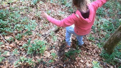 A Child Running in the Forest