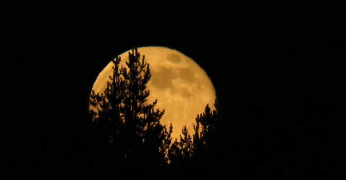 4k Moon Rising Time-Lapse Video of a Moon Rising Free Stock Video Footage, Royalty ...