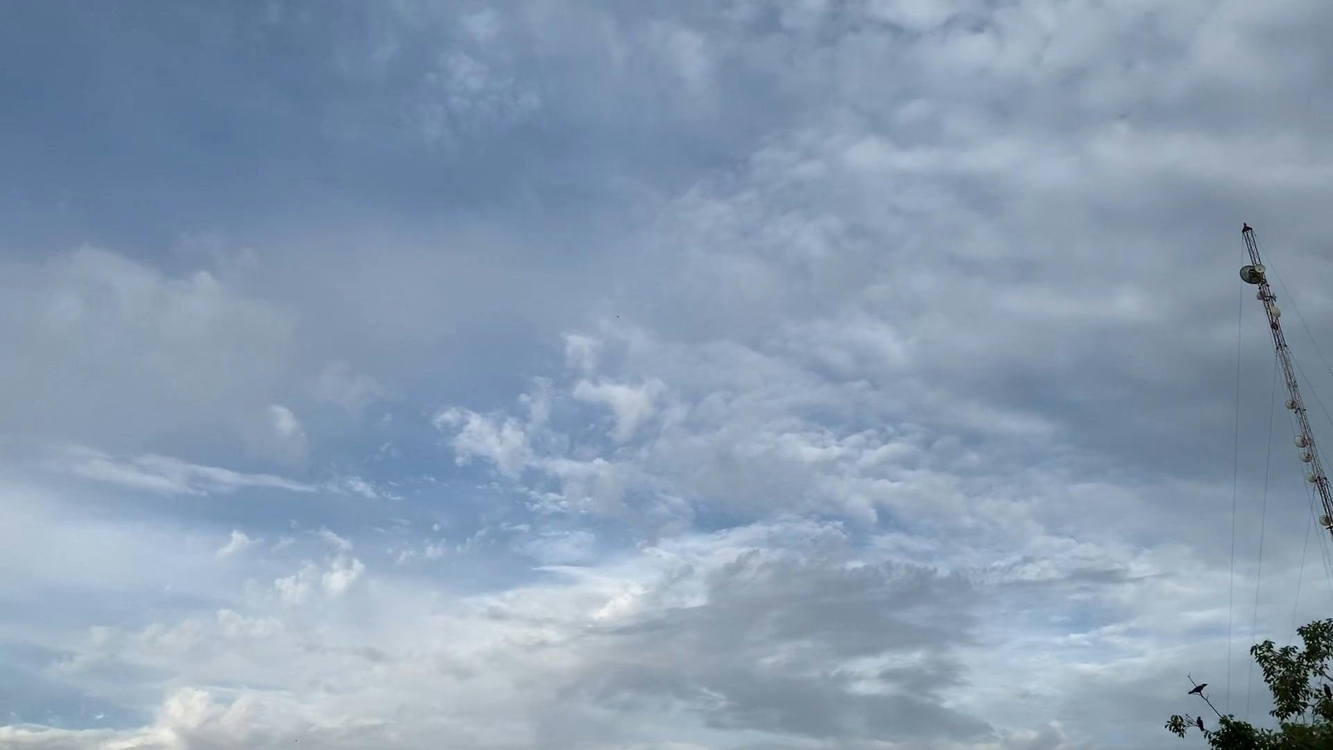Two Eagles Soaring In The Sky Free Stock Video Footage Royalty Free 4k