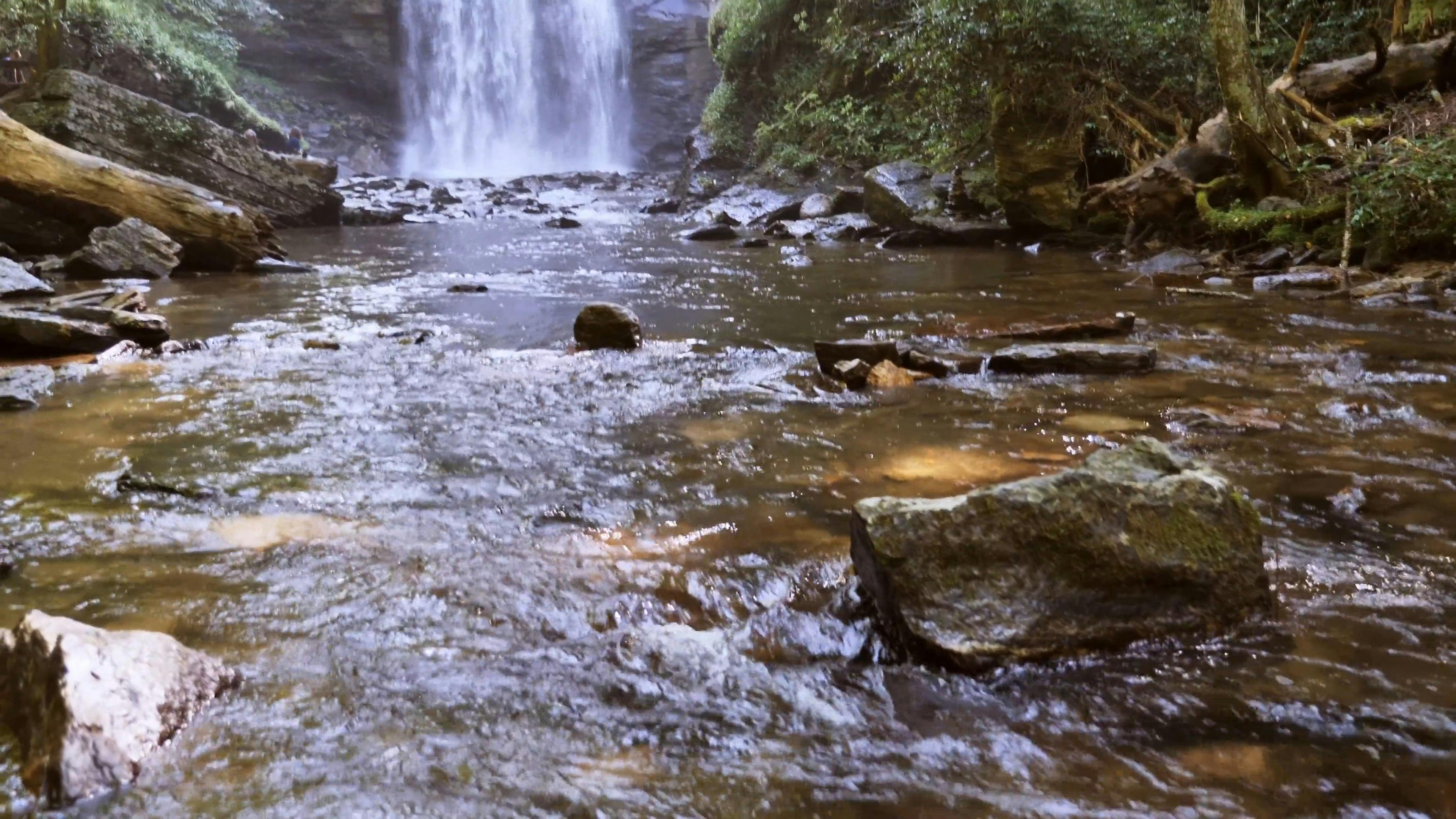 Looking Glass Falls waterfall