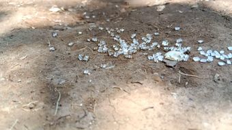 钻石上游高清视频视频素材