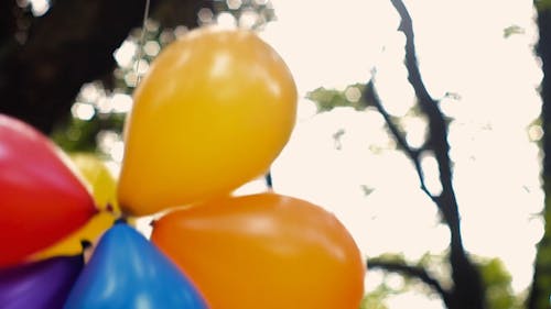 Balloon Of Different Colors Stringed Together