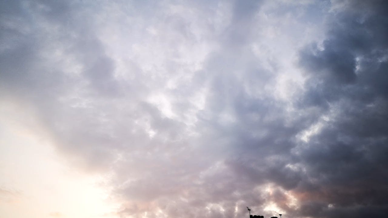 Video by George Morina