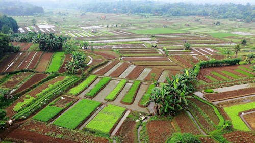 Drone Footage Of A Wide Farm Field 