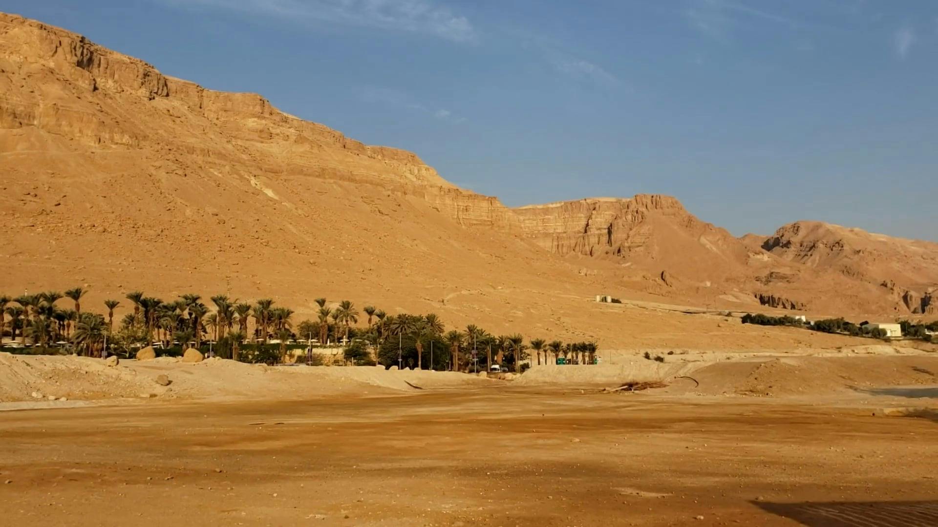 Resorts And Hotels Near Dead Sea In Israel Free Stock Video Footage