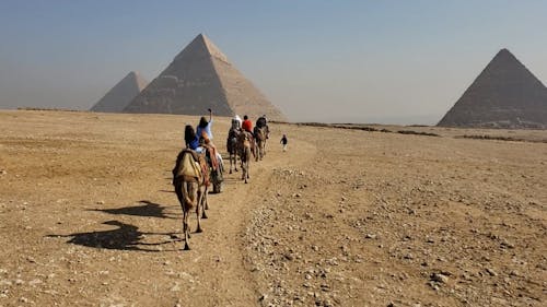 Riding a Camel while Sightseeing the Pyramids