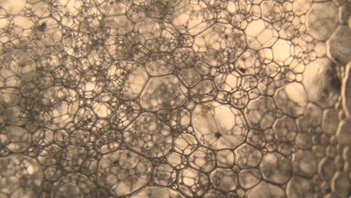 Close-up Footage Of Bubbles-like Specimen