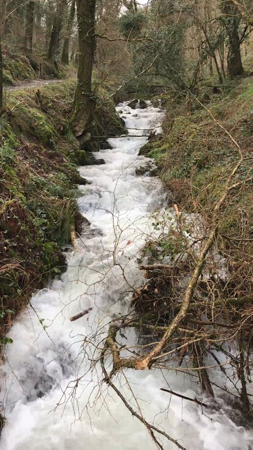 River Water Flowing Down In A Narrow Creek