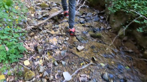 A Person Walking Along The Trail Of A Brook Water