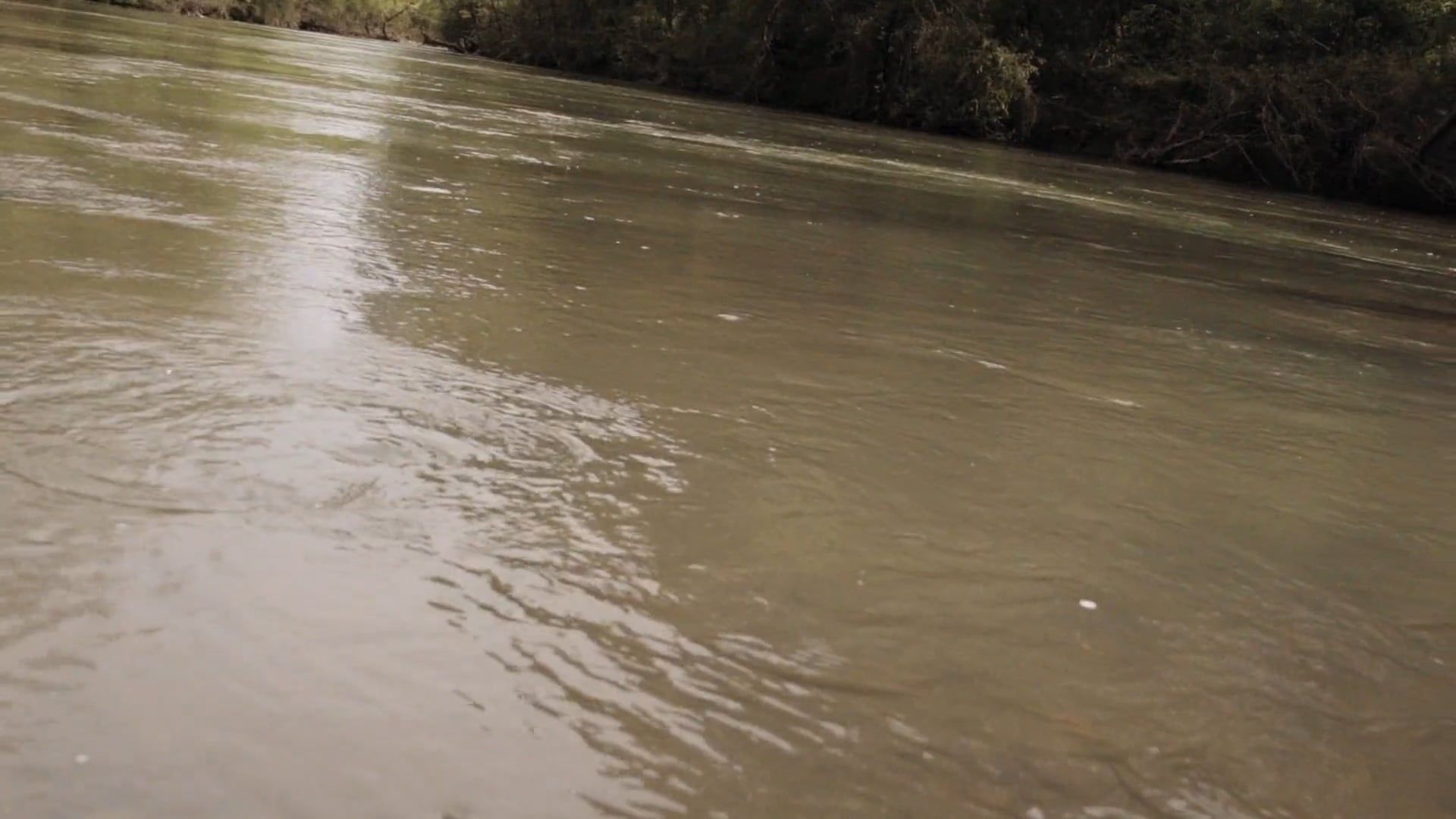Skipping Stones On The Deep Water Of A River · Free Stock Video