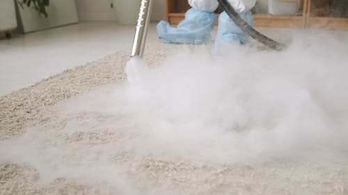 Disinfecting A Carpet Using Steam