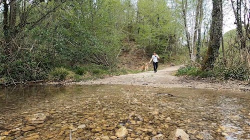 Woman Walking with a Dog