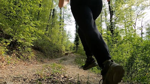 A Woman Running Uphill In The Forest Trail