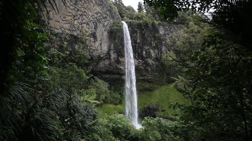 A Waterfall in the Middle of the Forest