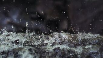 雨珠滴落高清视频高清视频高清视频视频素材