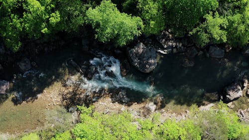 A Drone Shot of a Rocky River by the Forest