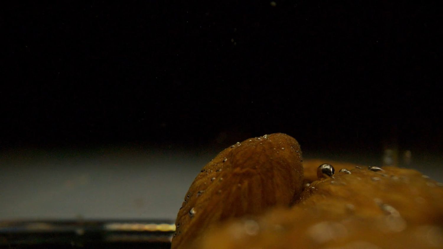 Close Up Slow Motion Videos, Download The BEST Free 4k Stock Video ...