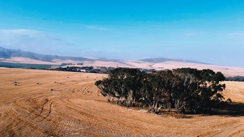 Drone Footage Of Cropland