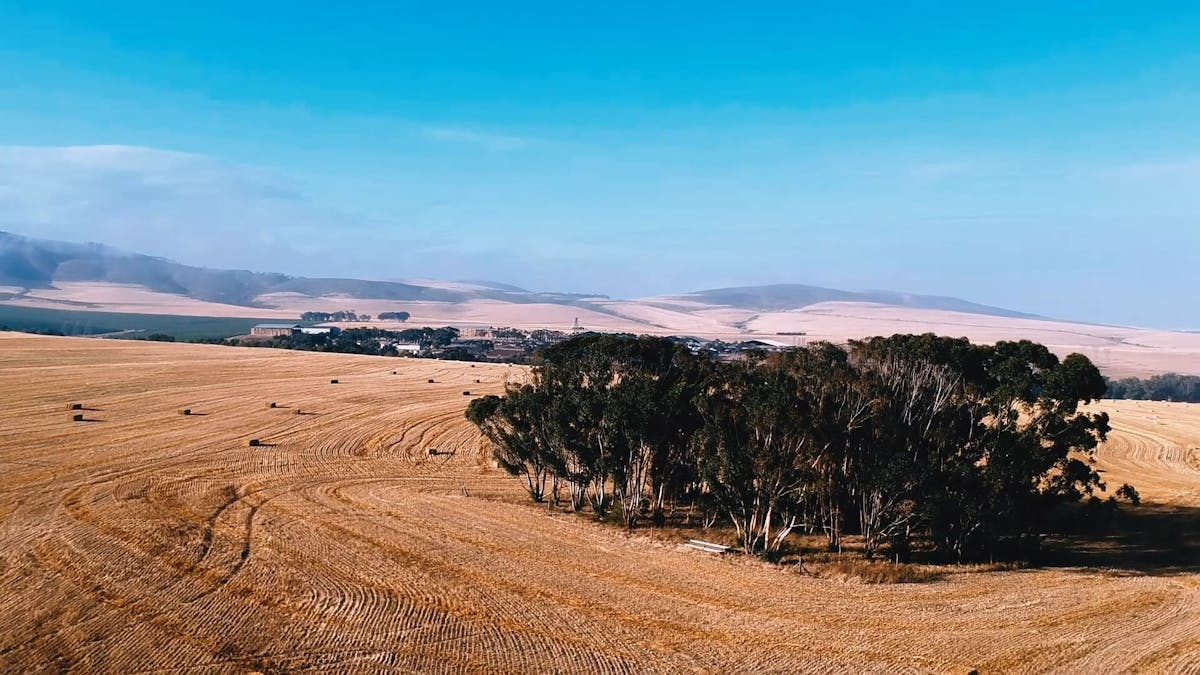 Cape Town South Africa Videos, Download The BEST Free 4k Stock Video