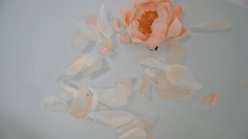 Bathroom Videos, Download The BEST Free 4k Stock Video Footage ...