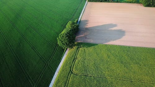 Drone Footage Of Farmland