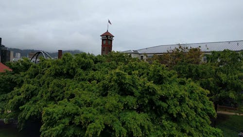 A Shot of the Clock Tower Peaking Behind the Trees