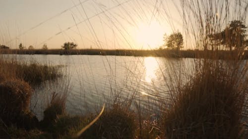 Video Of River During Sunset