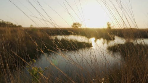 Video Of A River During Sunset