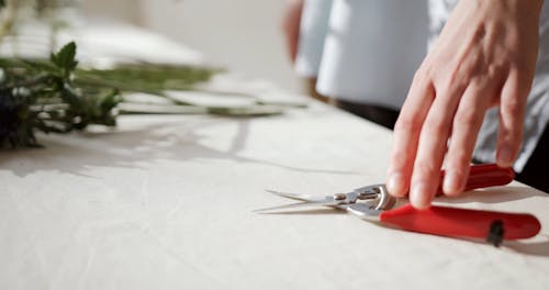 Woman Pruning The Stems Of A Flowering Plant