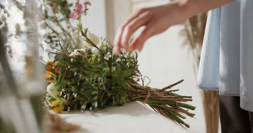 Tying A Bouquet Of Harvested Plants And Flowers, 