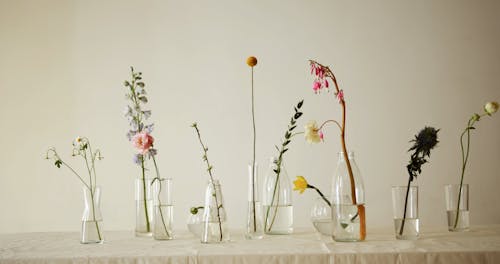 Variety Of Flowers In Clear Glasses 