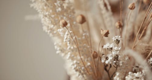 Whites And Cotton Flowers Vase Arrangement