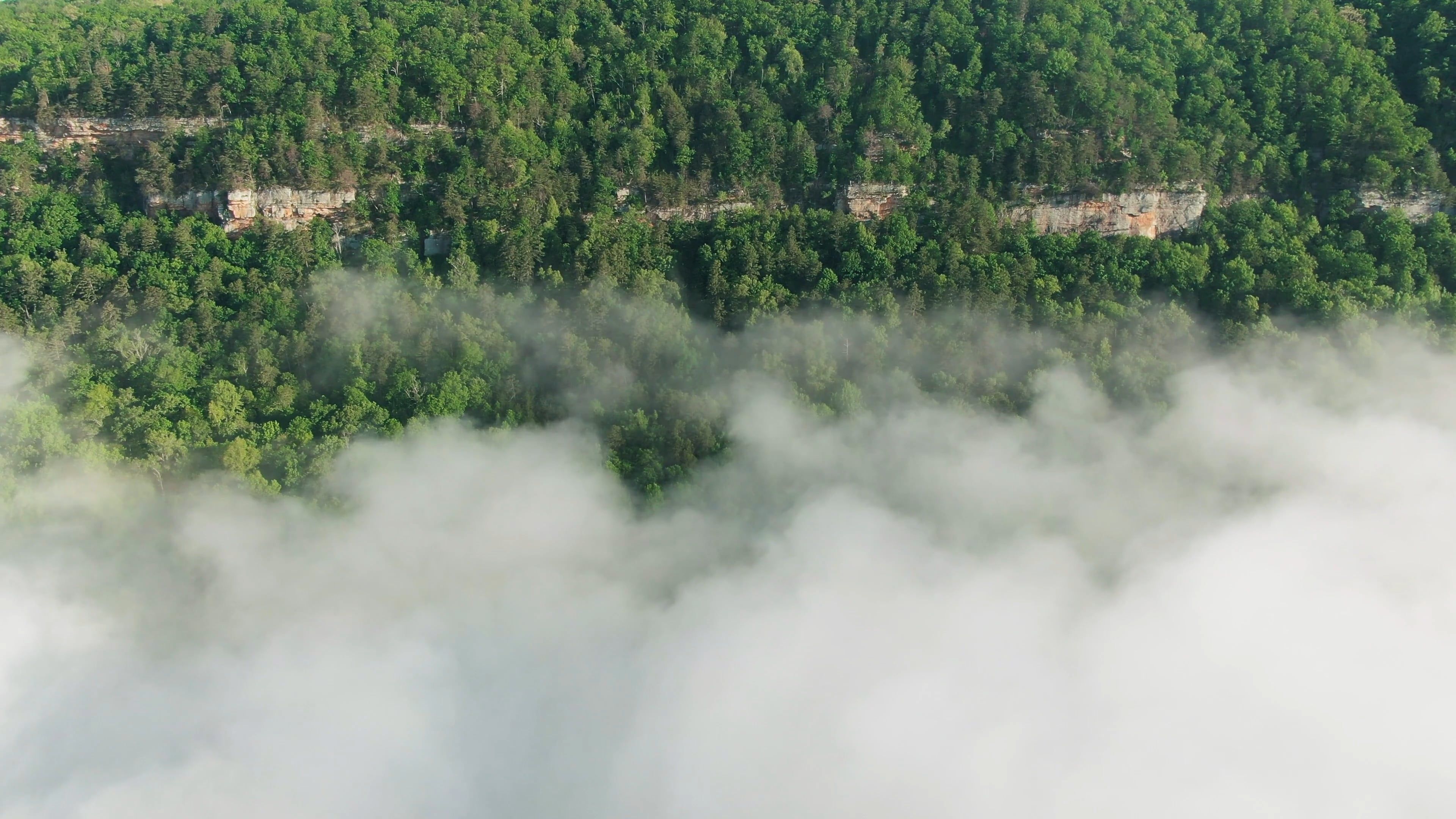 Drone Footage of a Clouds and Trees Free Stock Video Footage, Royalty ...