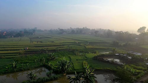 Drone Footage Of A Large Farm Field