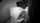 infant