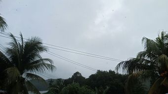 视频素材预览