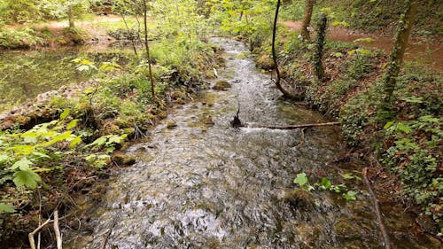 A River Flowing Through Mossy Rocks