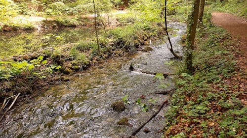 A River Flowing Through Debris Of Broken Branches