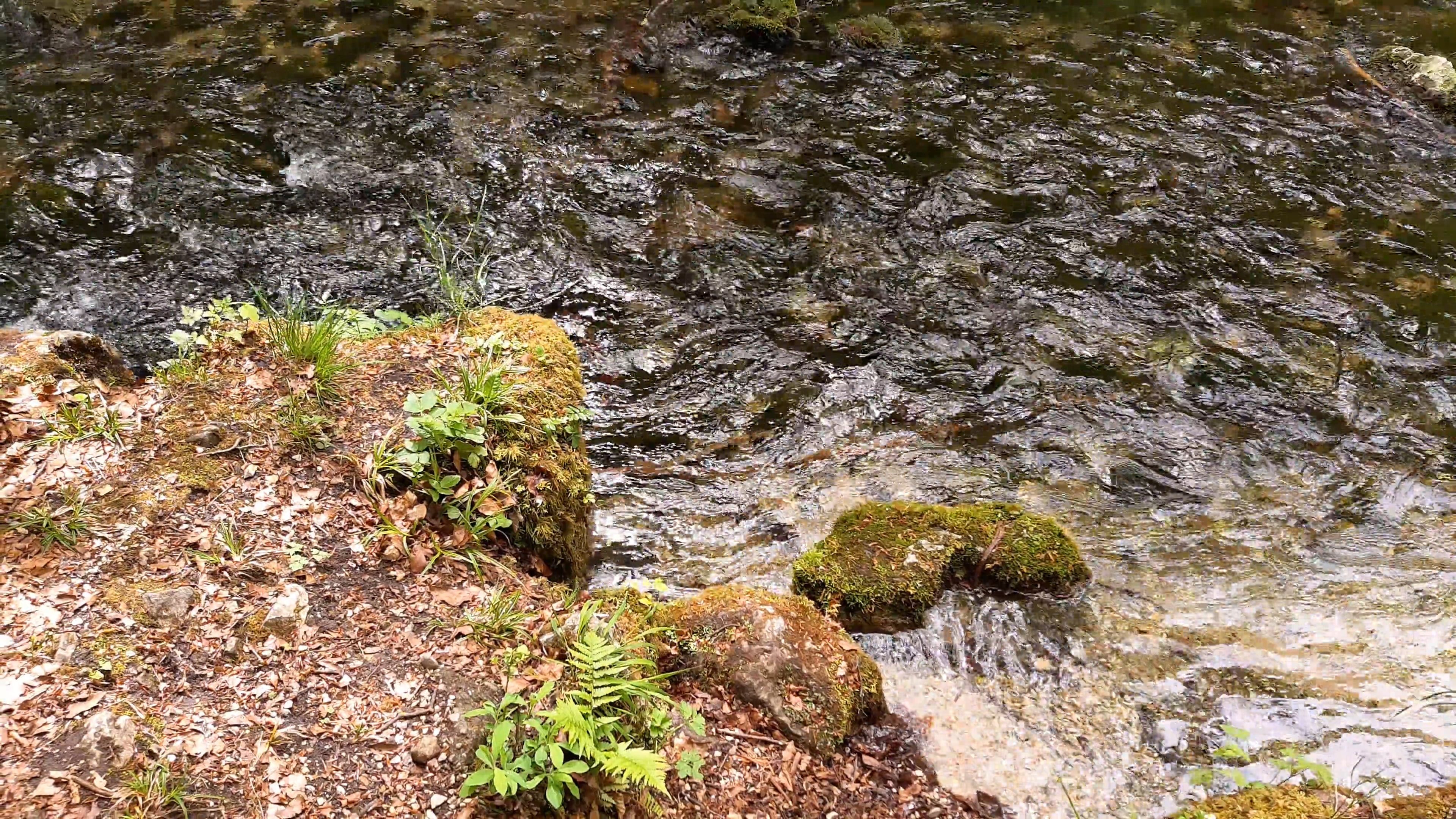 Close-Up Shot of Water Flowing in the River Free Stock Video Footage ...