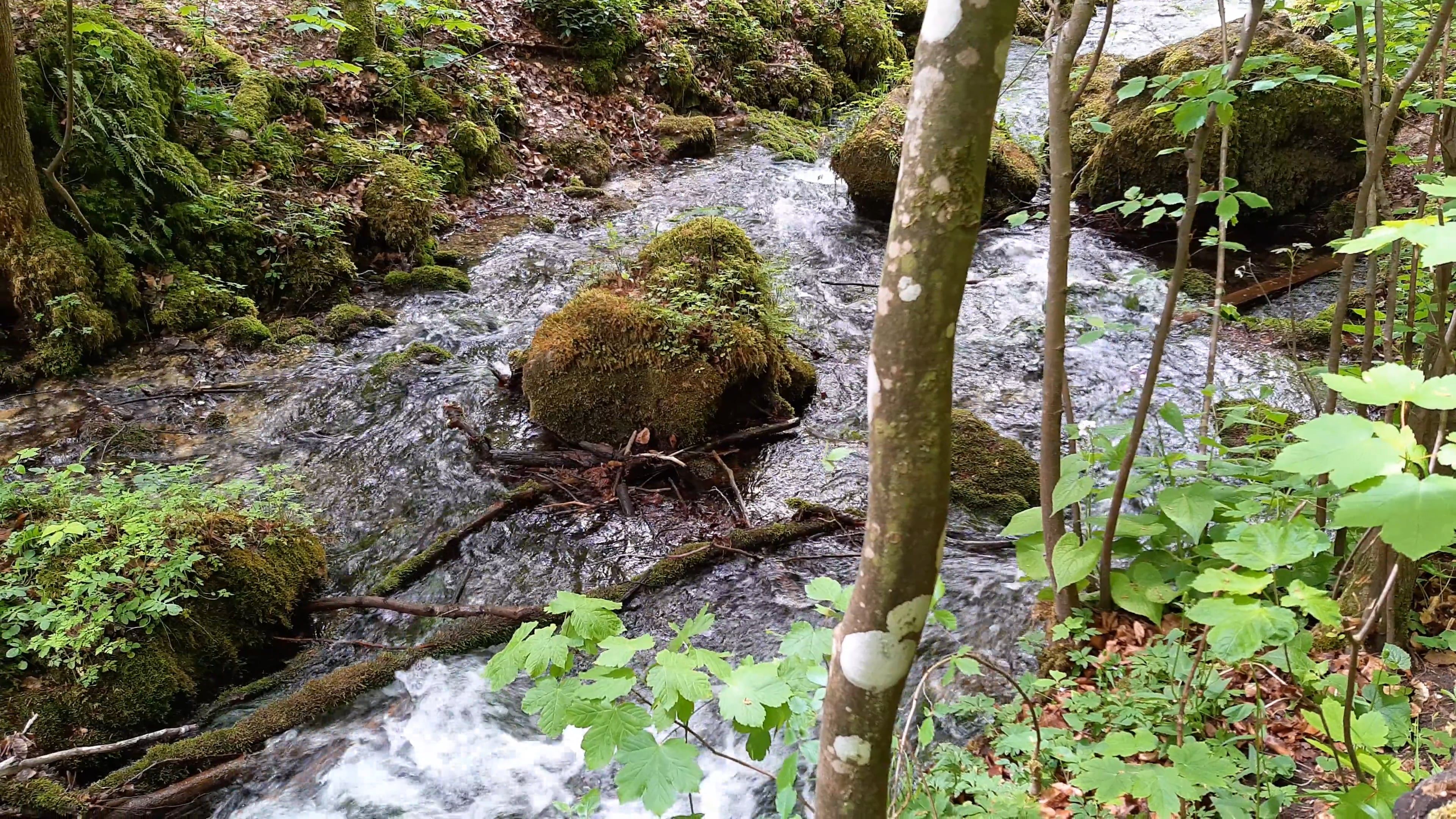 Close-Up Shot of Water Flowing in the River Free Stock Video Footage ...