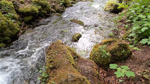 Water Flowing in the River